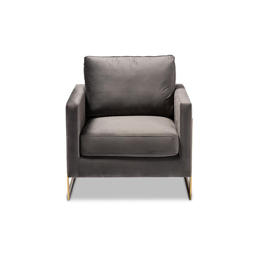 Matteo Glam and Luxe Grey Velvet Fabric Upholstered Gold Finished Armchair. Picture 2
