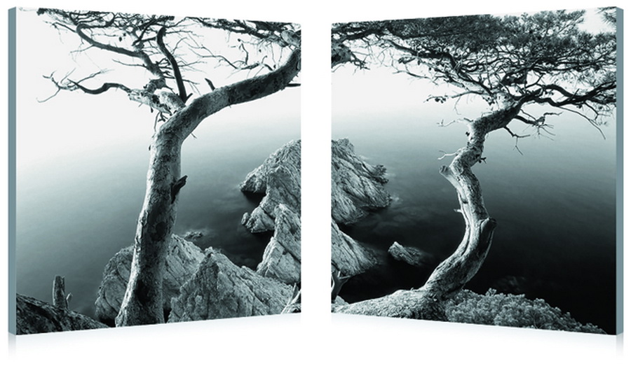 Shore Mounted Photography Print Diptych Black/White. Picture 1