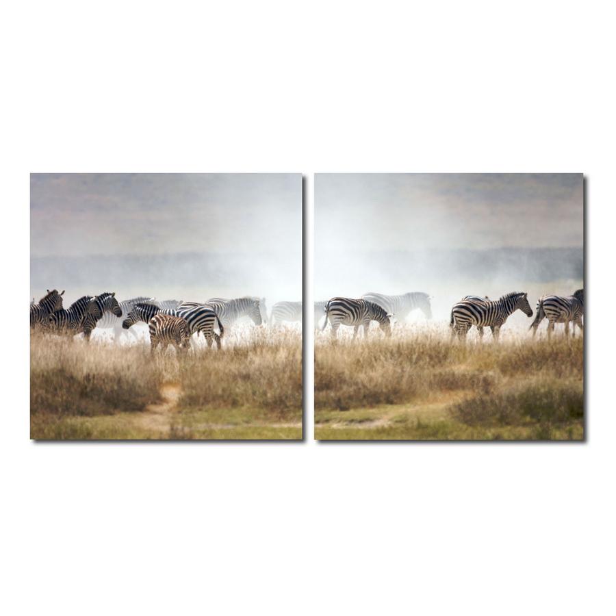 A Zeal of Zebras Mounted Photography Print Diptych Multi. Picture 1