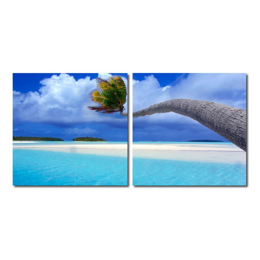 Windswept Palm Mounted Photography Print Diptych. The main picture.