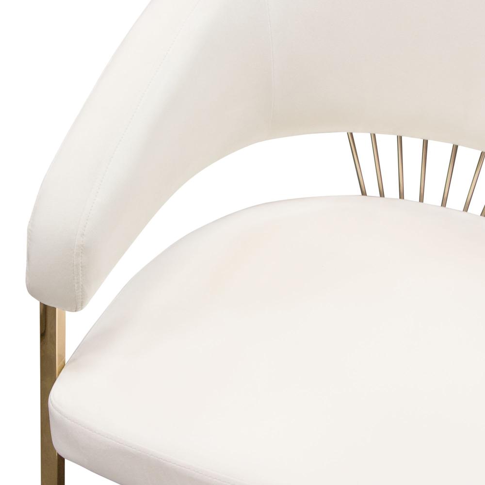 Solstice Dining Chair in Cream Velvet w/ Polished Gold Metal Frame by Diamond Sofa. Picture 29