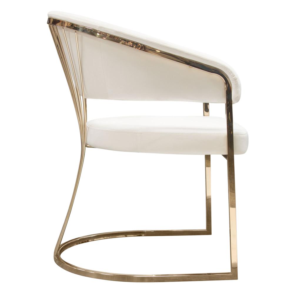 Solstice Dining Chair in Cream Velvet w/ Polished Gold Metal Frame by Diamond Sofa. Picture 19