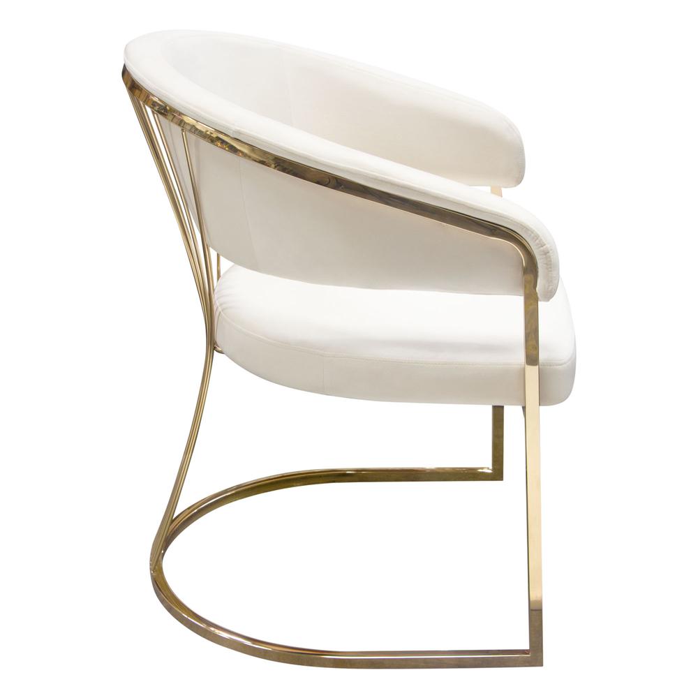 Solstice Dining Chair in Cream Velvet w/ Polished Gold Metal Frame by Diamond Sofa. Picture 28