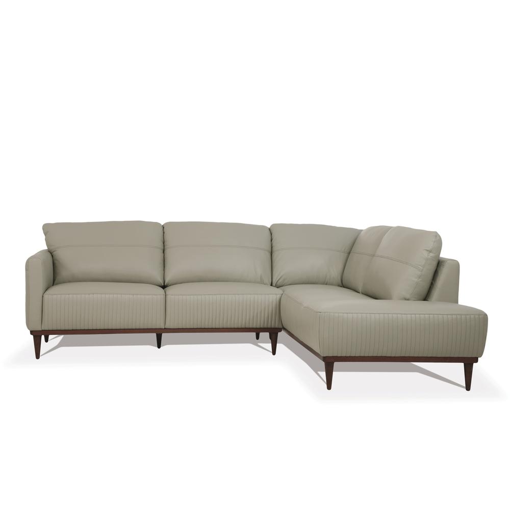 ACME-Tampa Sectional Sofa. Picture 2