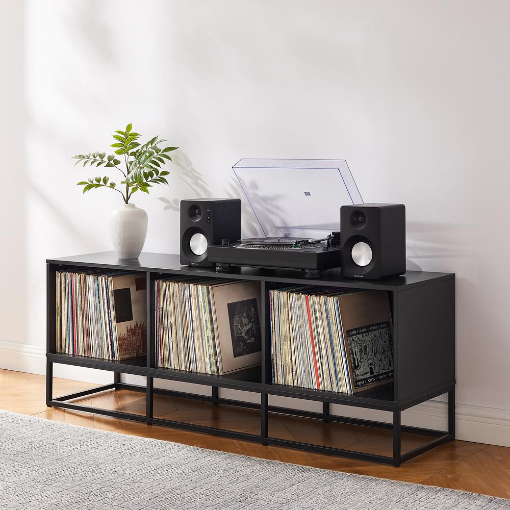 Enzo Large Record Storage Media Console. Picture 4