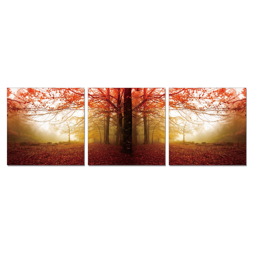 SeniA Wall Mounted Triptych Photography Prints, Autumn Leaves, Set of Three. Picture 1