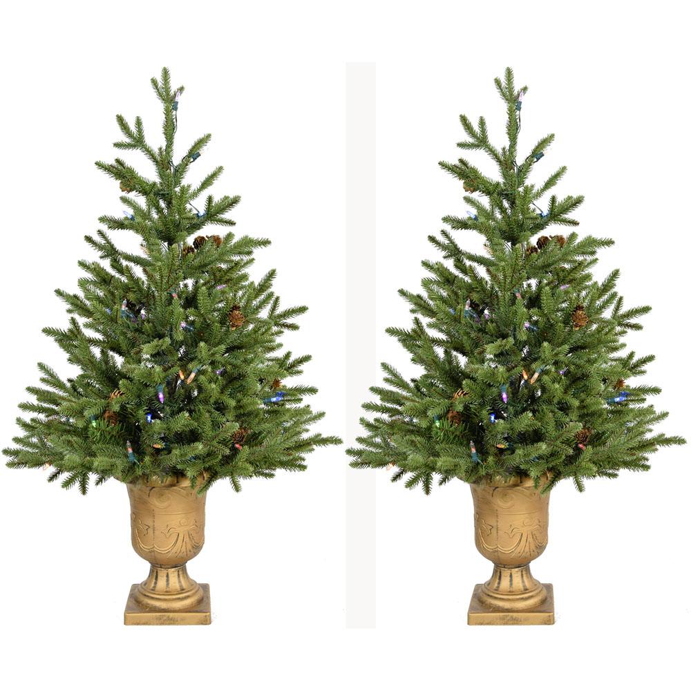 Fraser Hill Farm 3.0' Noble Fir Potted Tree-MltiLED(SET 2),BatteryNotInc. Picture 1