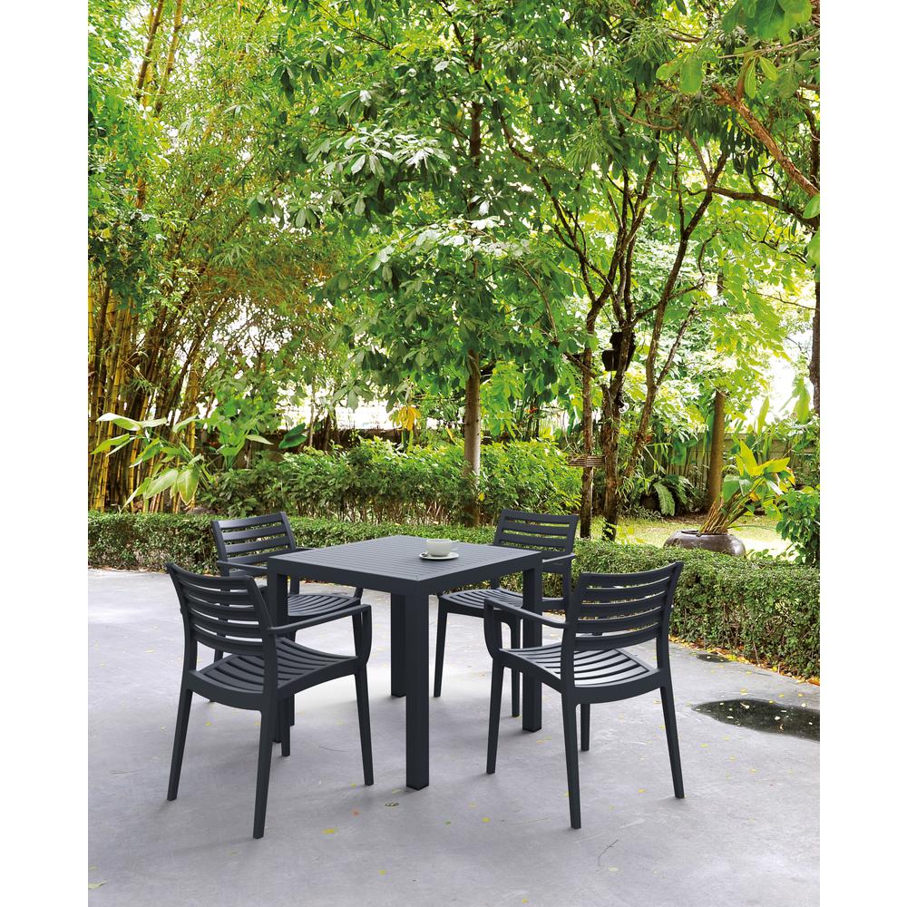 Artemis Outdoor Dining Arm Chair Dark Gray, Set of 2. Picture 5