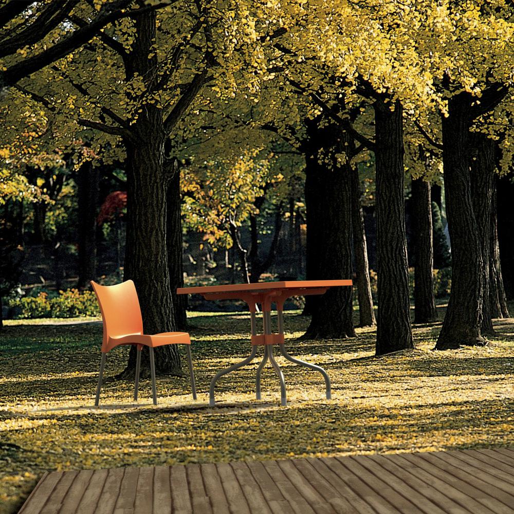 Resin Dining Chair, Set of 2, Orange, Belen Kox. Picture 5