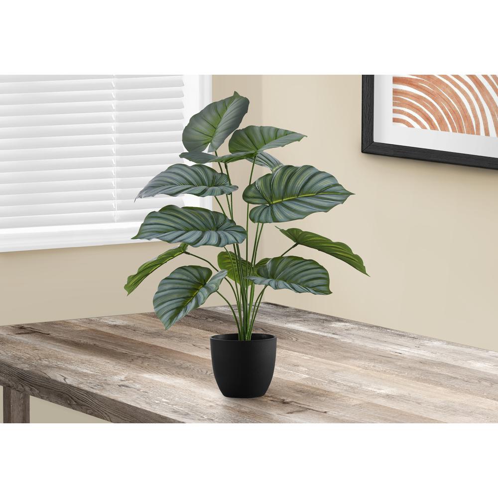 Artificial Plant, 24 Tall, Calathea, Indoor, Faux, Fake, Table, Greenery. Picture 5