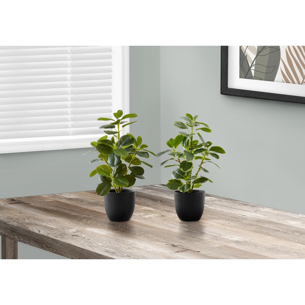 Artificial Plant, 14 Tall, Ficus, Indoor, Faux, Fake, Table, Greenery. Picture 5
