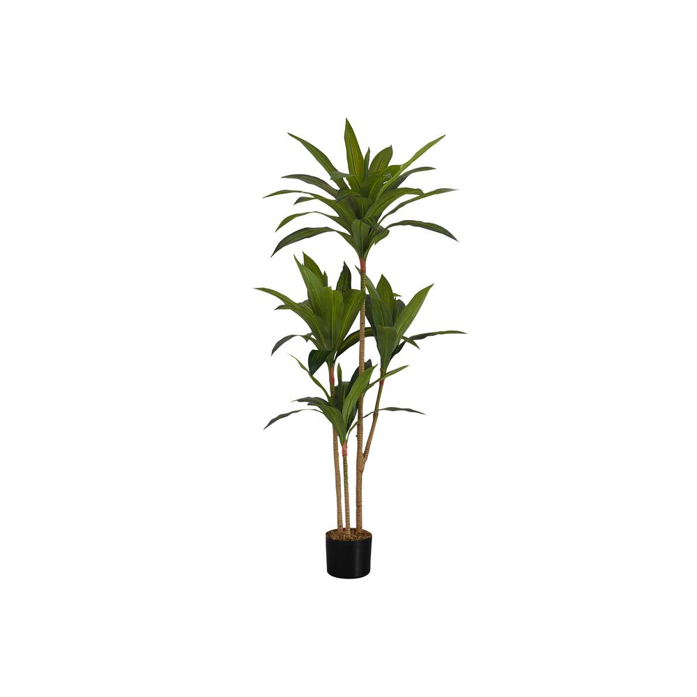 Artificial Plant, 51 Tall, Dracaena Tree, Indoor, Faux, Fake, Floor, Greenery. Picture 1