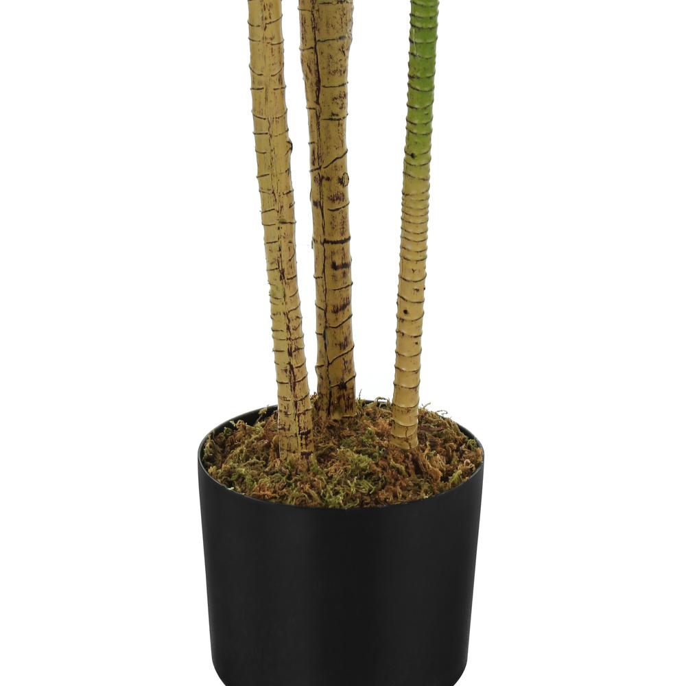 Artificial Plant, 51 Tall, Dracaena Tree, Indoor, Faux, Fake, Floor, Greenery. Picture 2