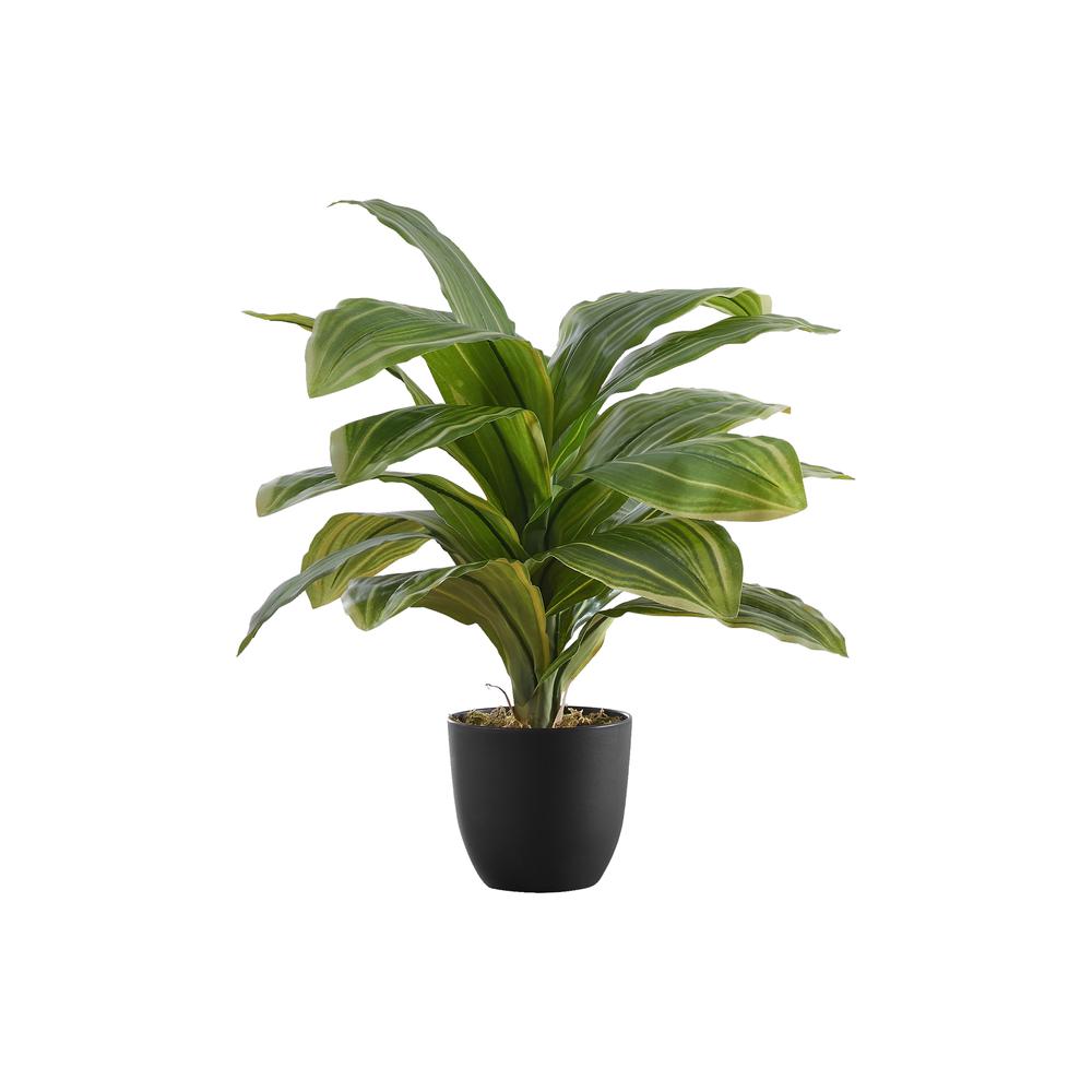 Artificial Plant, 17 Tall, Dracaena, Indoor, Faux, Fake, Table, Greenery. Picture 1