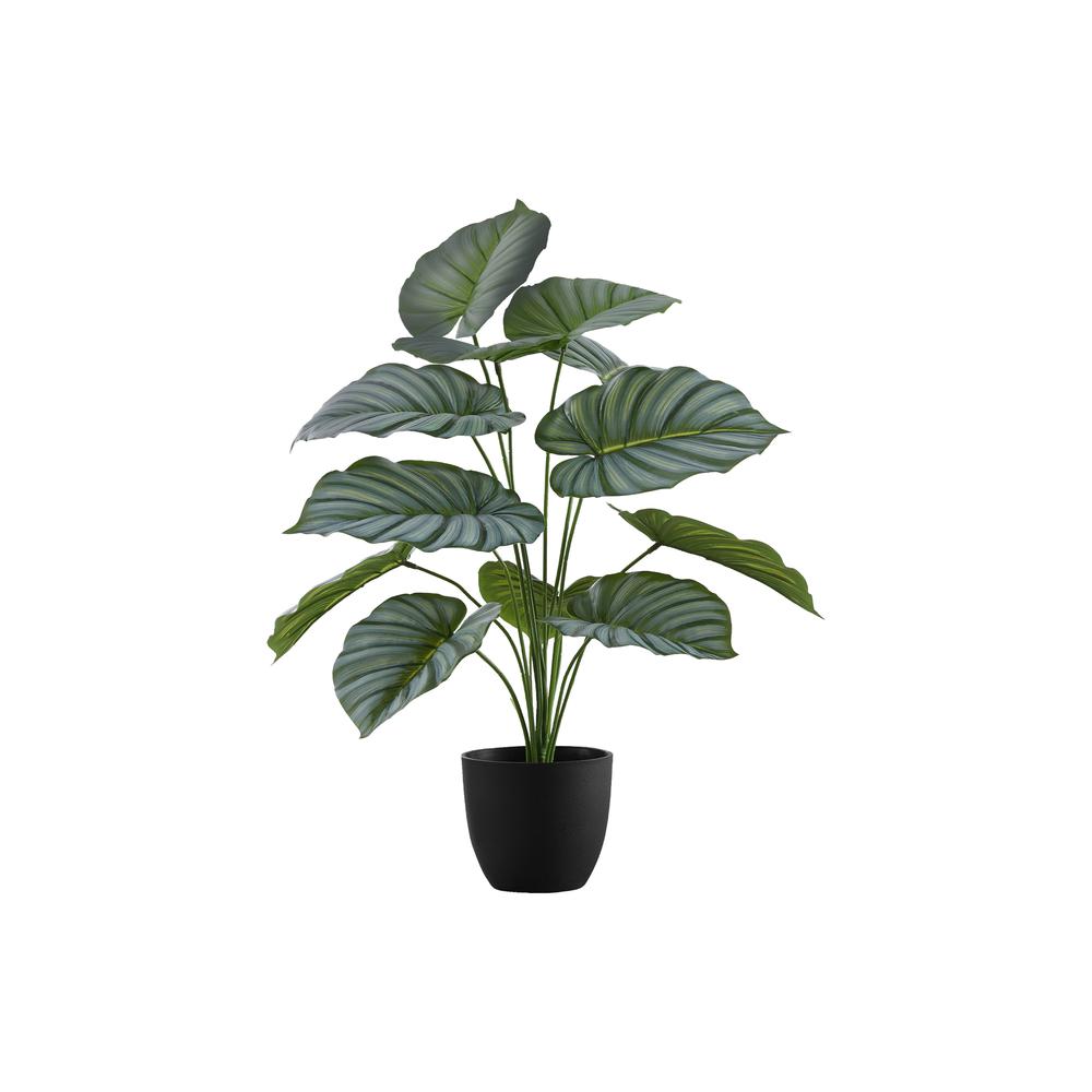 Artificial Plant, 24 Tall, Calathea, Indoor, Faux, Fake, Table, Greenery. Picture 1