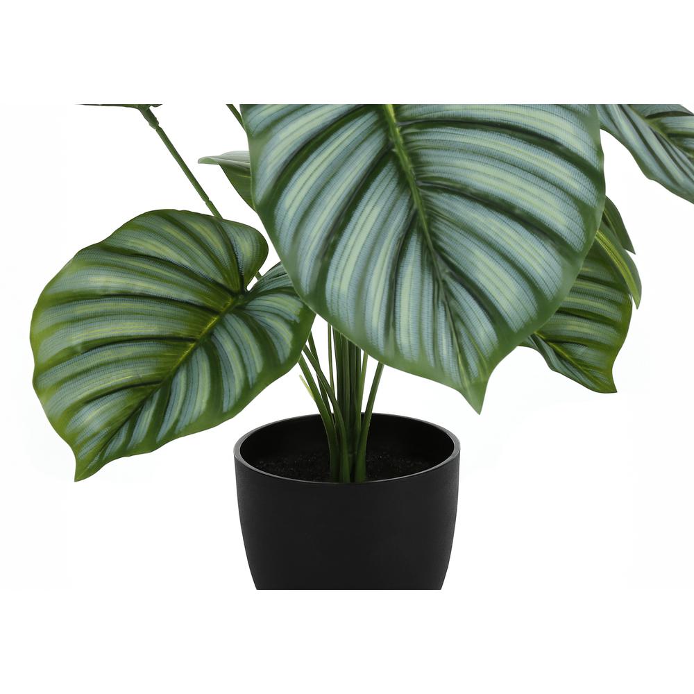 Artificial Plant, 24 Tall, Calathea, Indoor, Faux, Fake, Table, Greenery. Picture 2