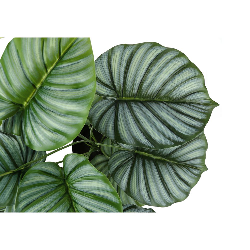 Artificial Plant, 24 Tall, Calathea, Indoor, Faux, Fake, Table, Greenery. Picture 3