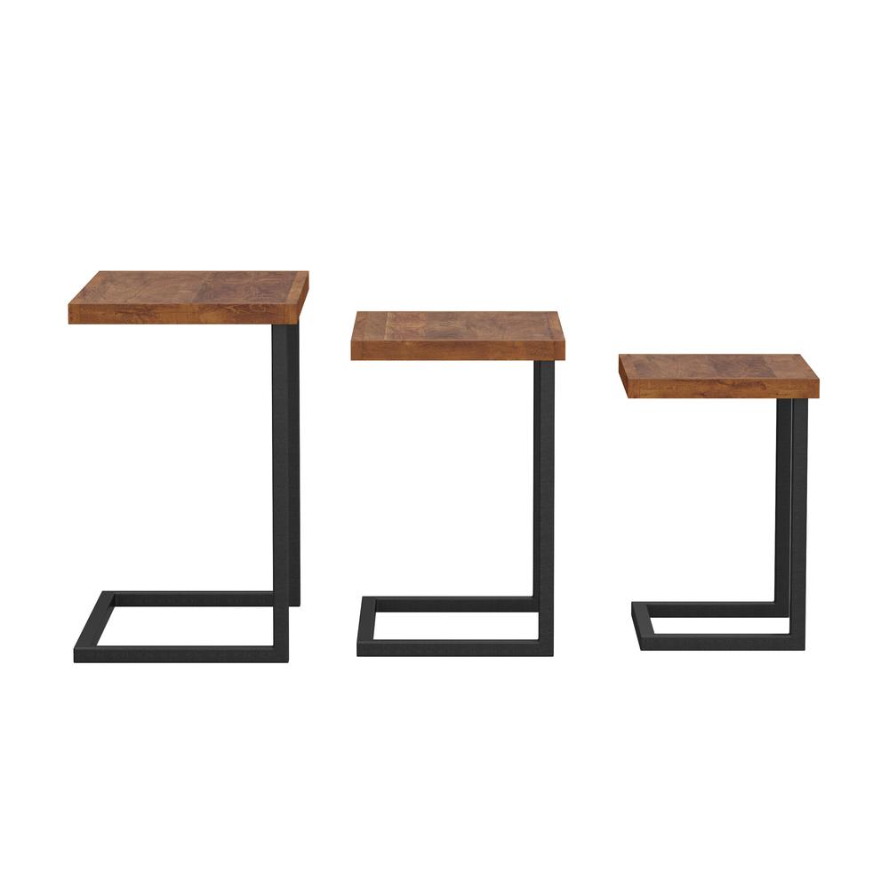 Emerson Wood Nesting Tables, Set of 3, Natural Sheesham. Picture 3