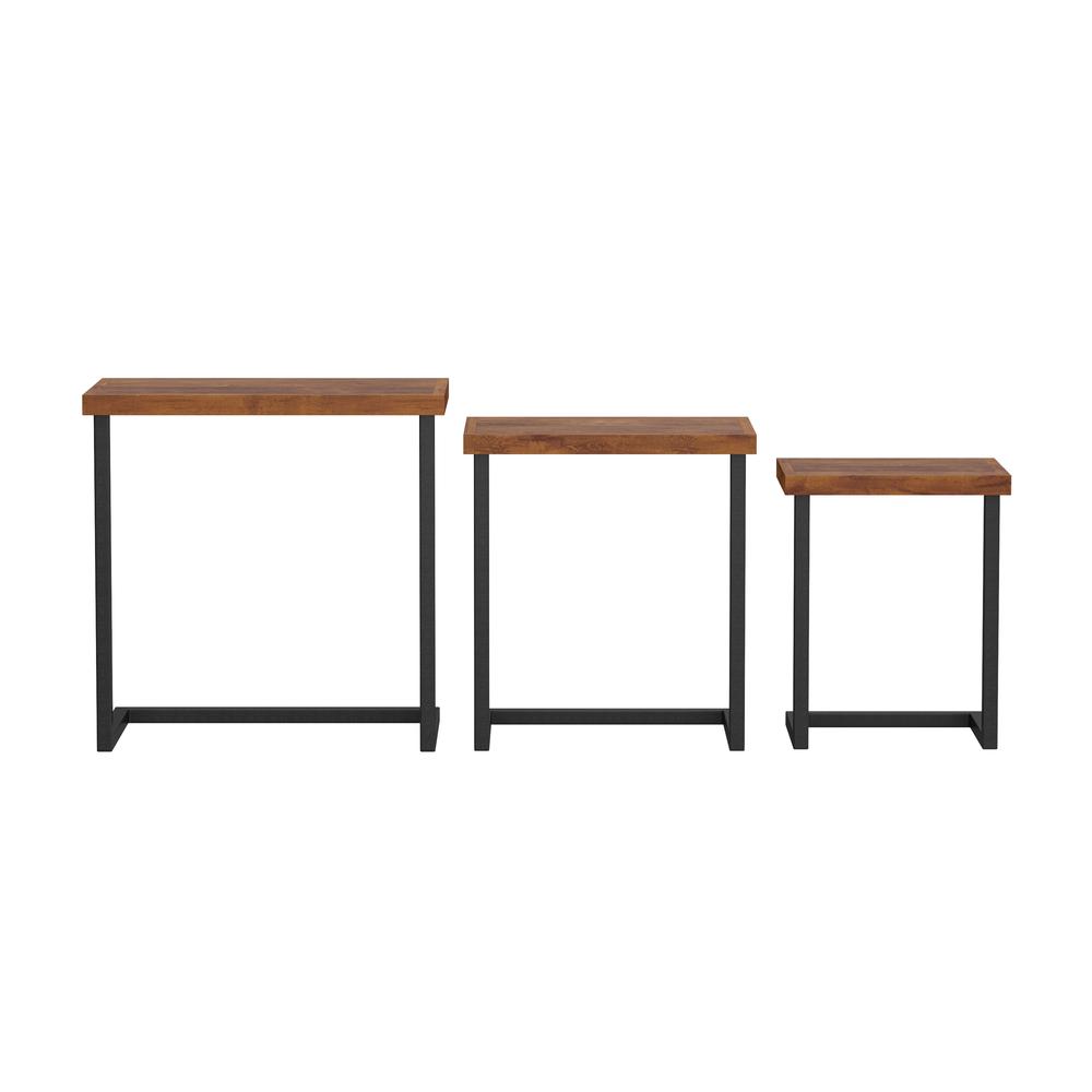 Emerson Wood Nesting Tables, Set of 3, Natural Sheesham. Picture 2