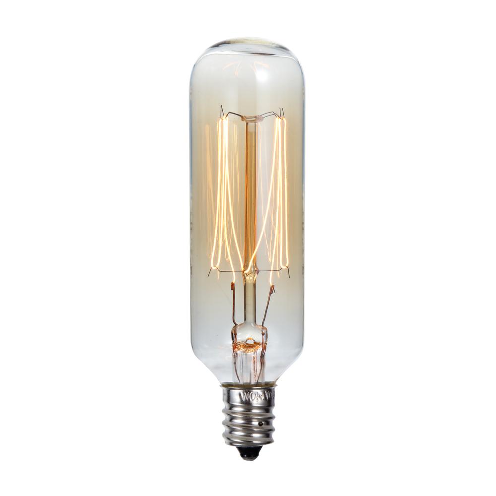 40w-t-type-edison-style-incandescent-bulb