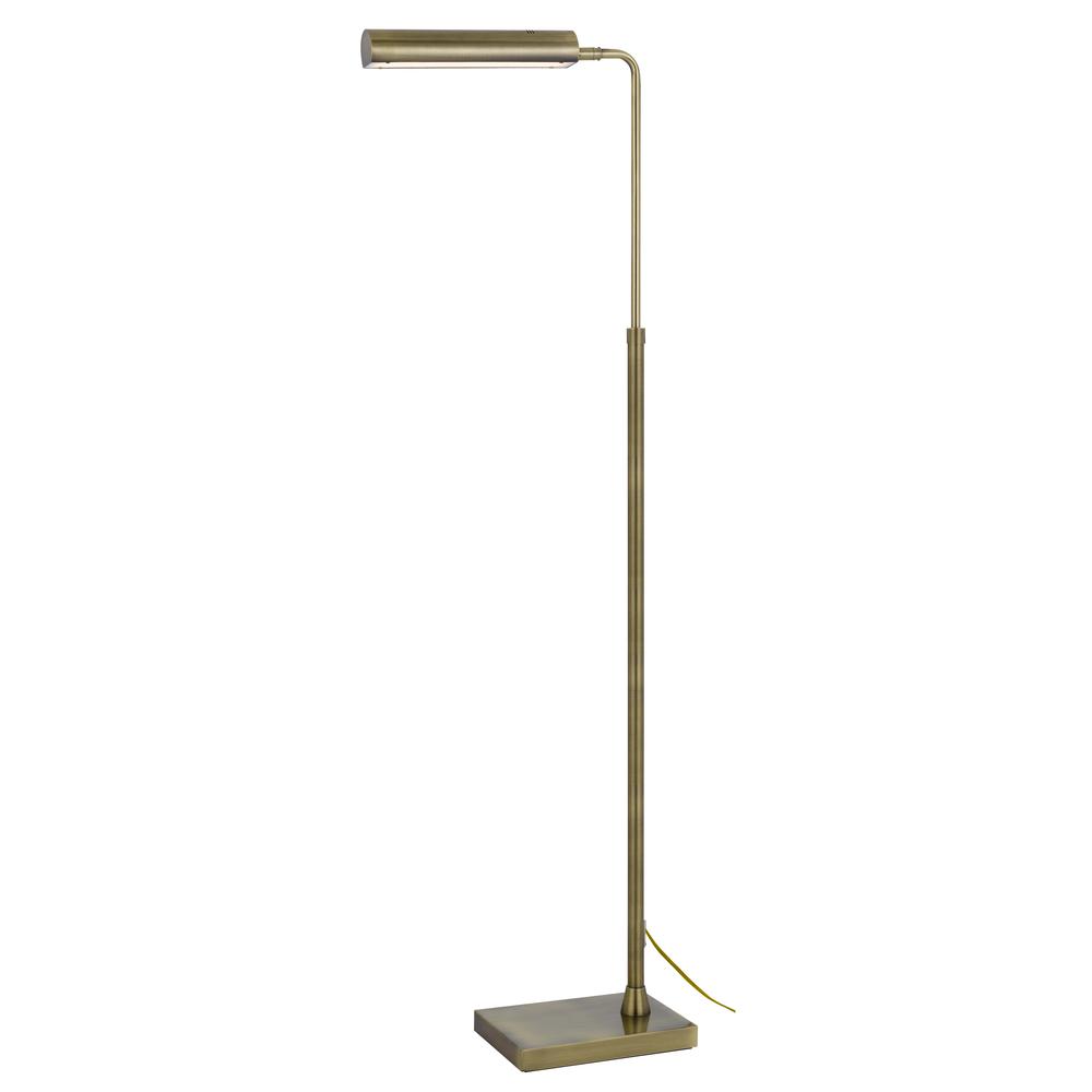 Delray 17W, 3000K non dimmable integrated LED metal floor lamp. Picture 1
