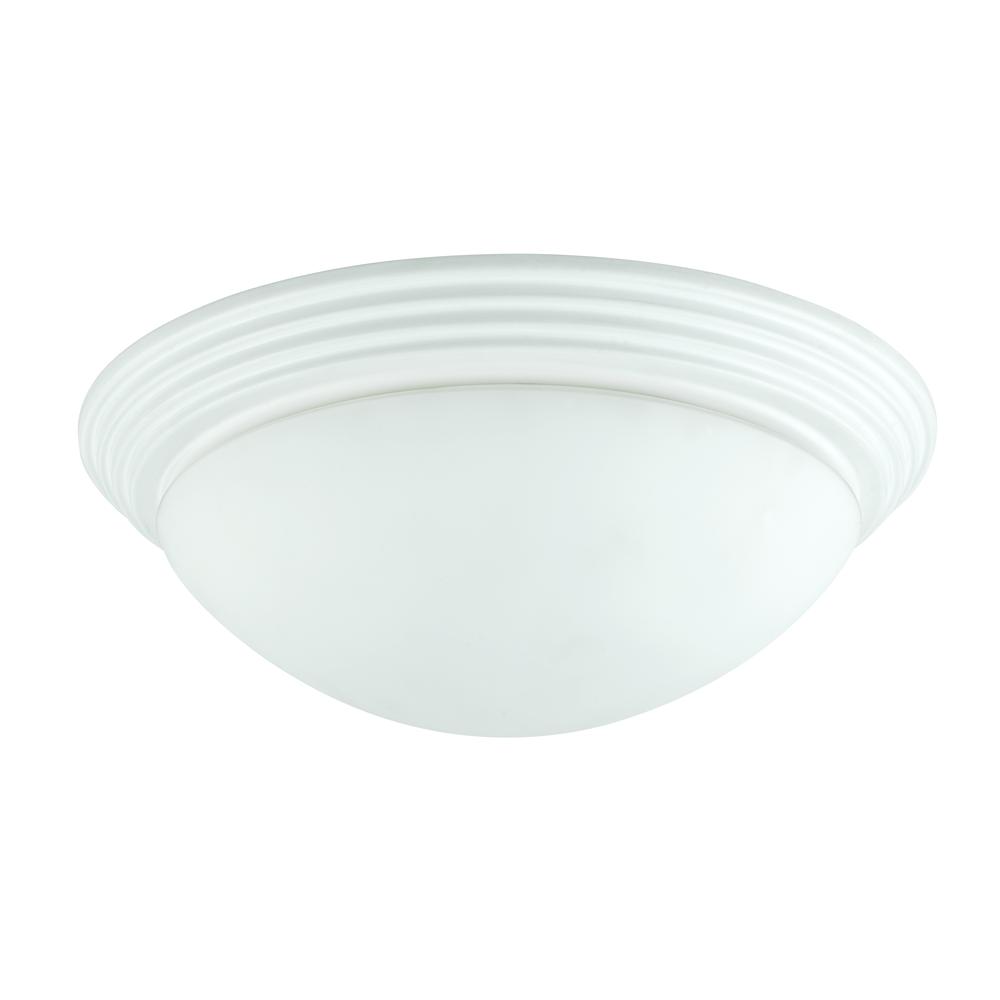 60W X 2 Ceiling Lamp. Picture 1
