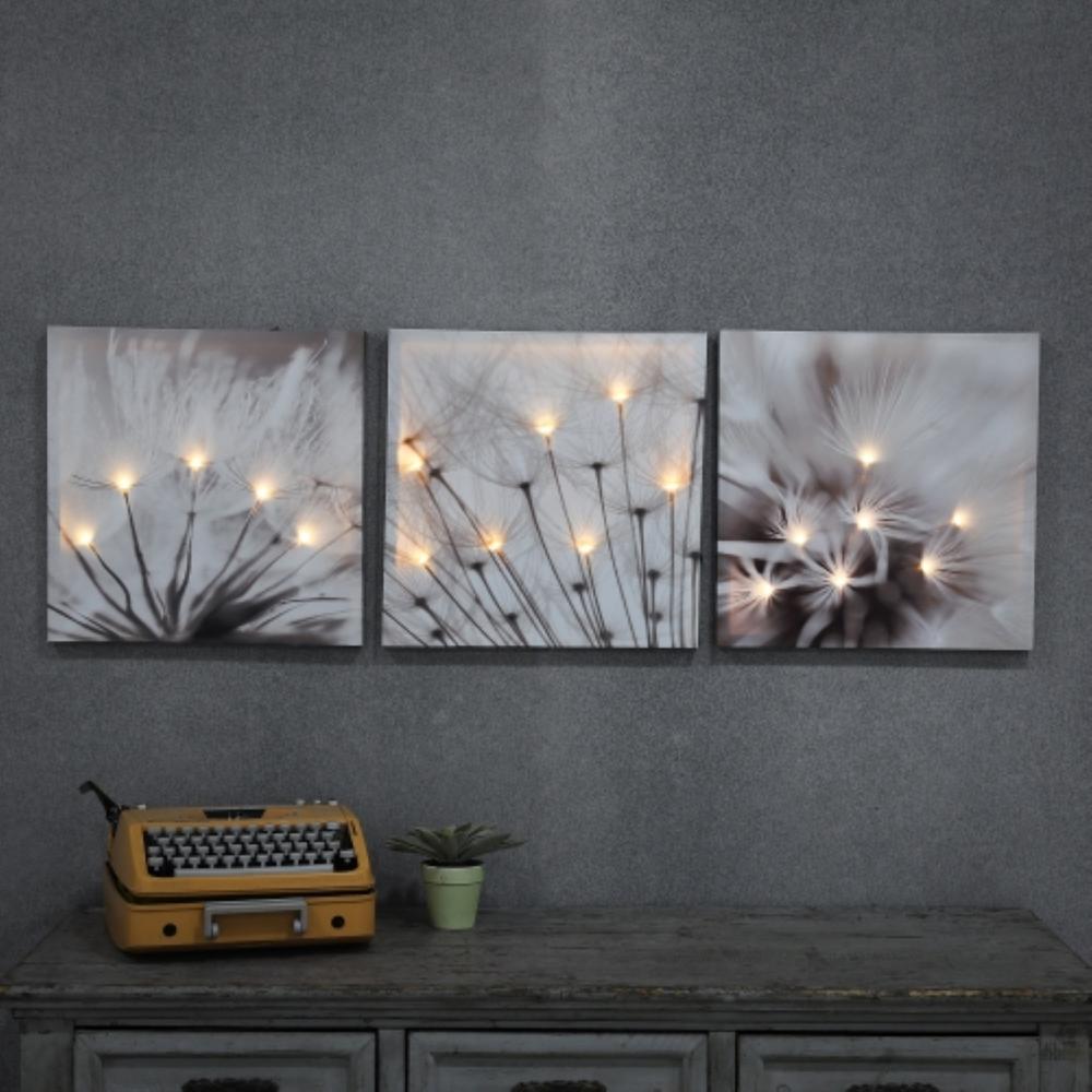Set of 3 Dandelion Prints with LED Lights. Picture 1