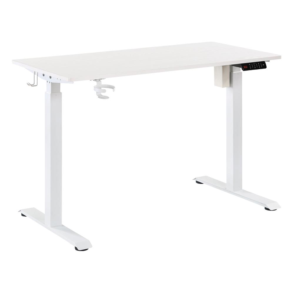 Primo 48" Sit-to-Stand Elec Desk. Picture 1