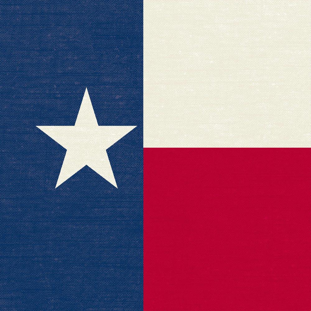 Red, White and Blue Texas Flag Knife Edge Outdoor Throw Pillow (2-Pack). Picture 4
