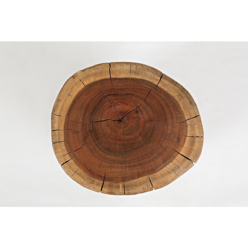 Hardwood Stump Accent Table. Picture 6