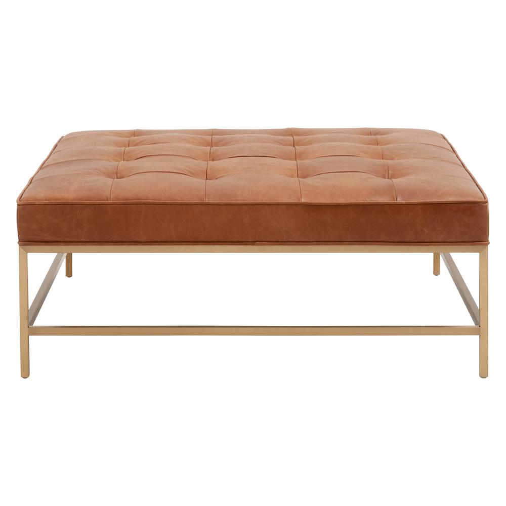 Brule Upholstered Coffee Table, Whiskey Brown Top Grain Leather, Brushed Brass. Picture 1