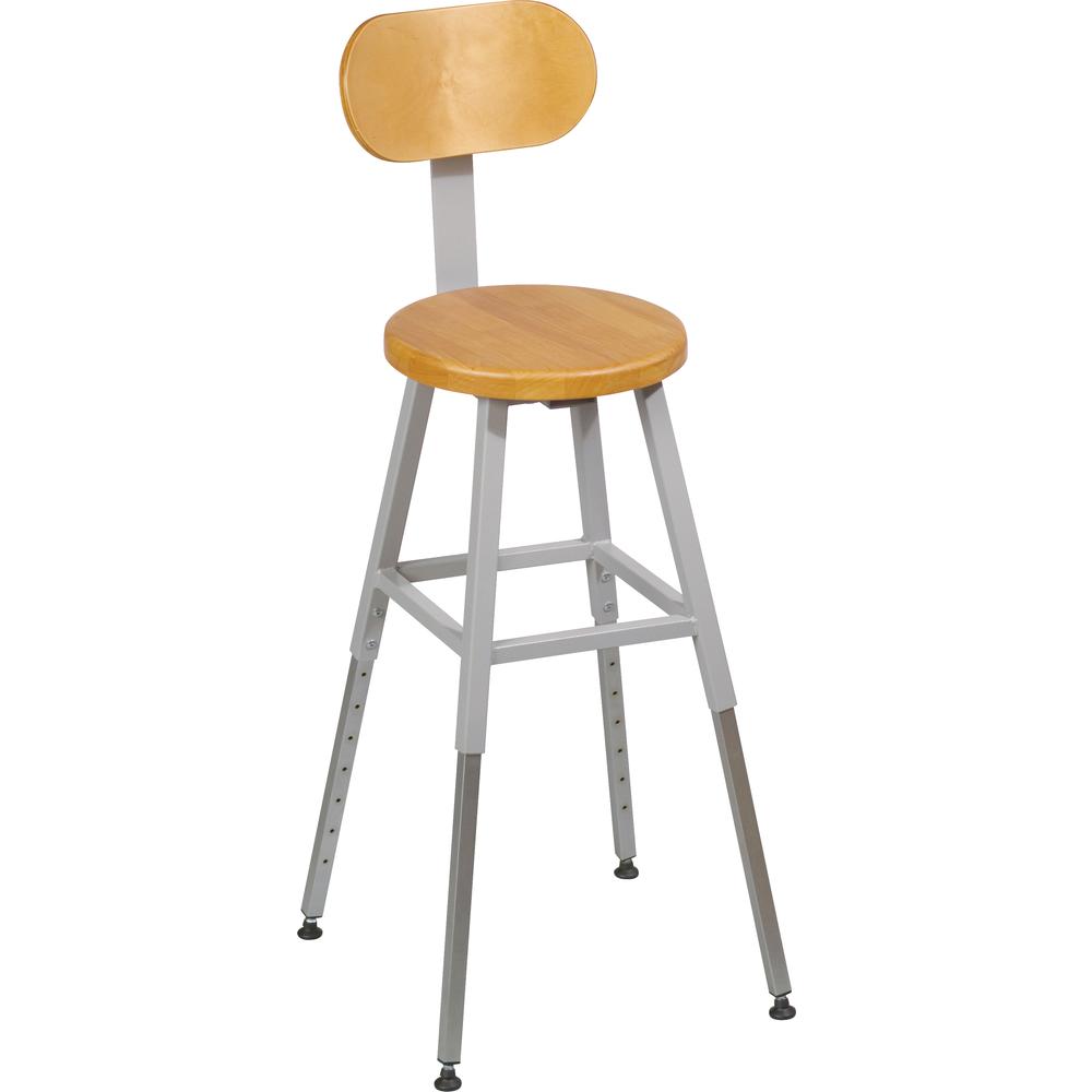 Lab Stool Back (Gray) (1/Carton). Picture 1