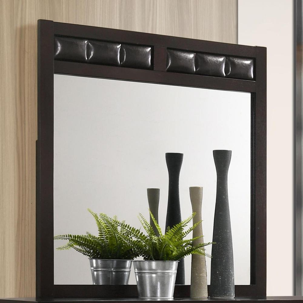 Carlton Upholstered Rectangular Dresser Mirror Cappuccino. Picture 1