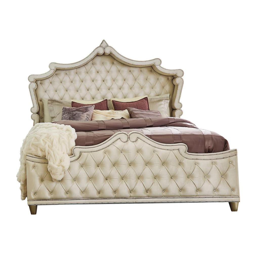 Antonella Upholstered Tufted California King Bed Ivory and Camel. Picture 2