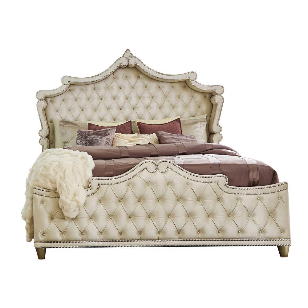 Antonella Upholstered Tufted Queen Bed Ivory and Camel. Picture 2