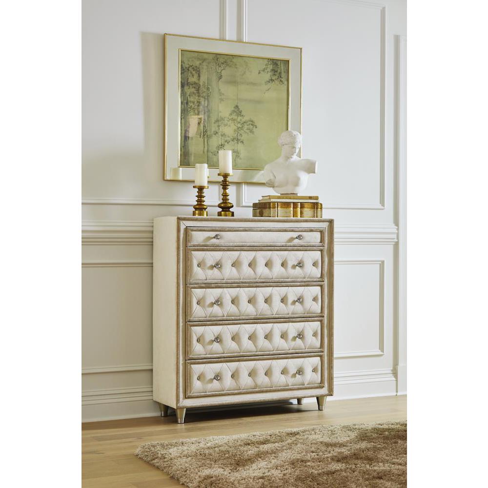 Antonella 5-drawer Upholstered Chest Ivory and Camel. Picture 1