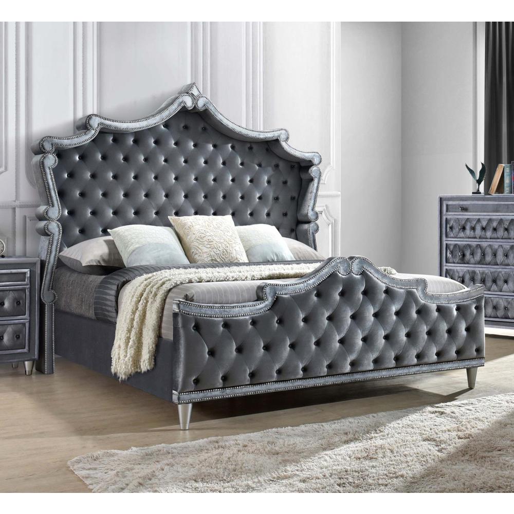 Antonella Upholstered Tufted Eastern King Bed Grey. Picture 1