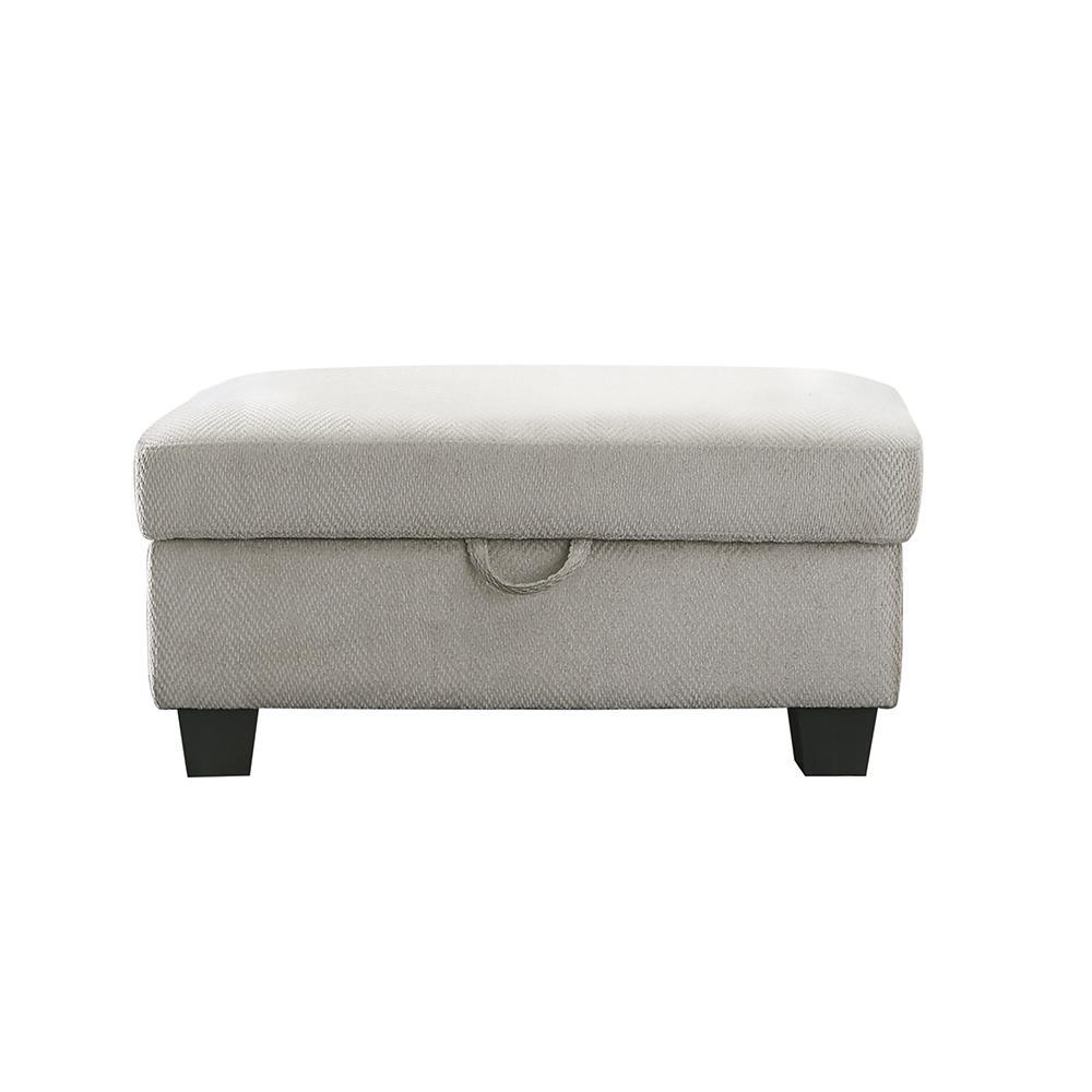 Whitson Upholstered Storage Ottoman Stone. Picture 1