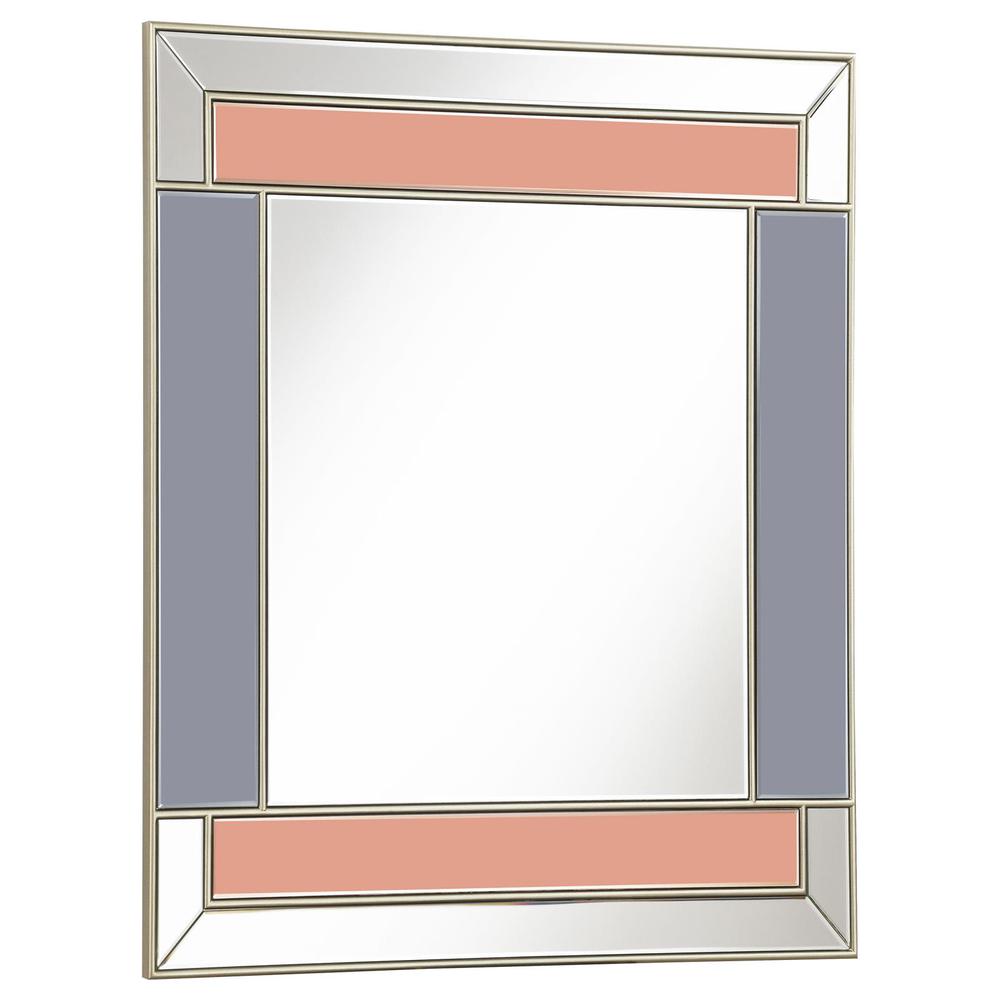 Braylin Rectangular Wall Mirror Champagne and Grey. Picture 1