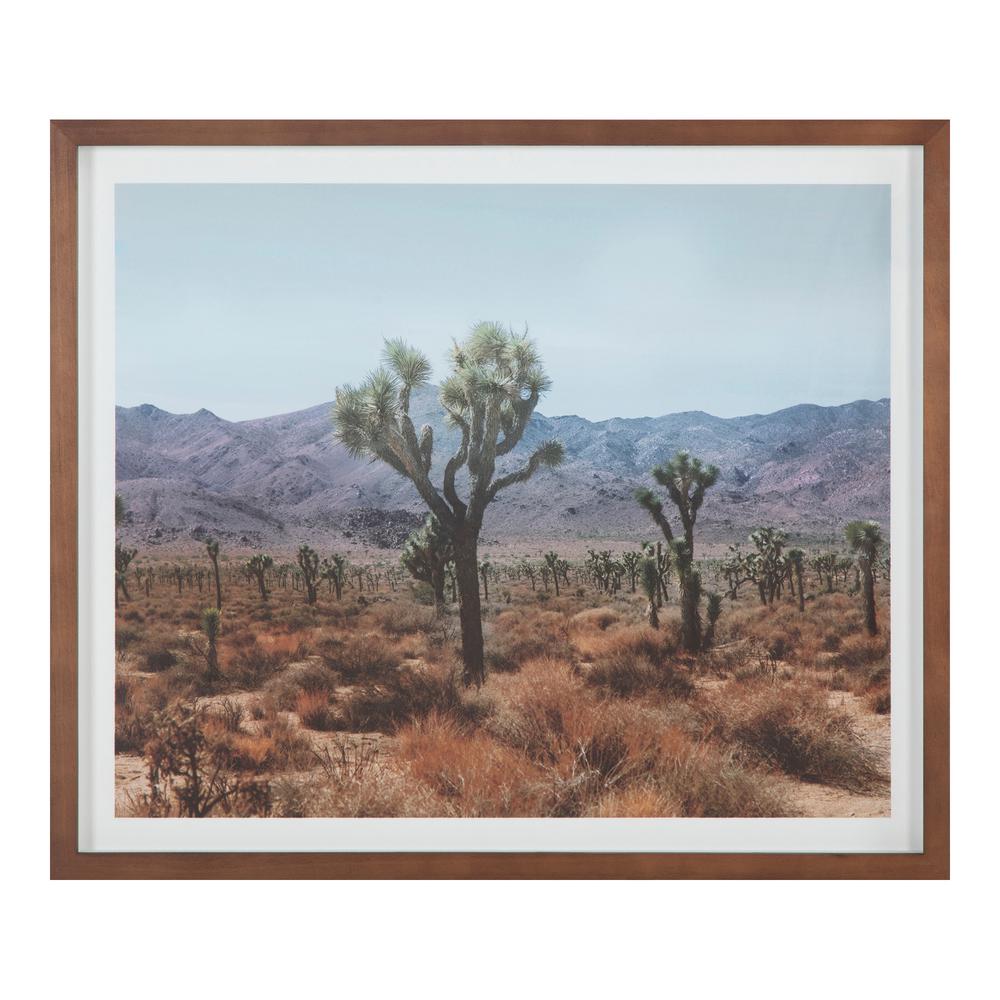 Desert Land Framed Print. Picture 1