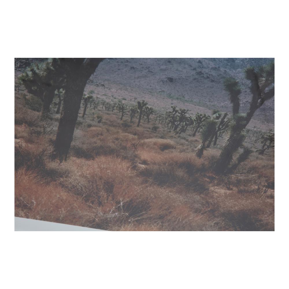 Desert Land Framed Print. Picture 3