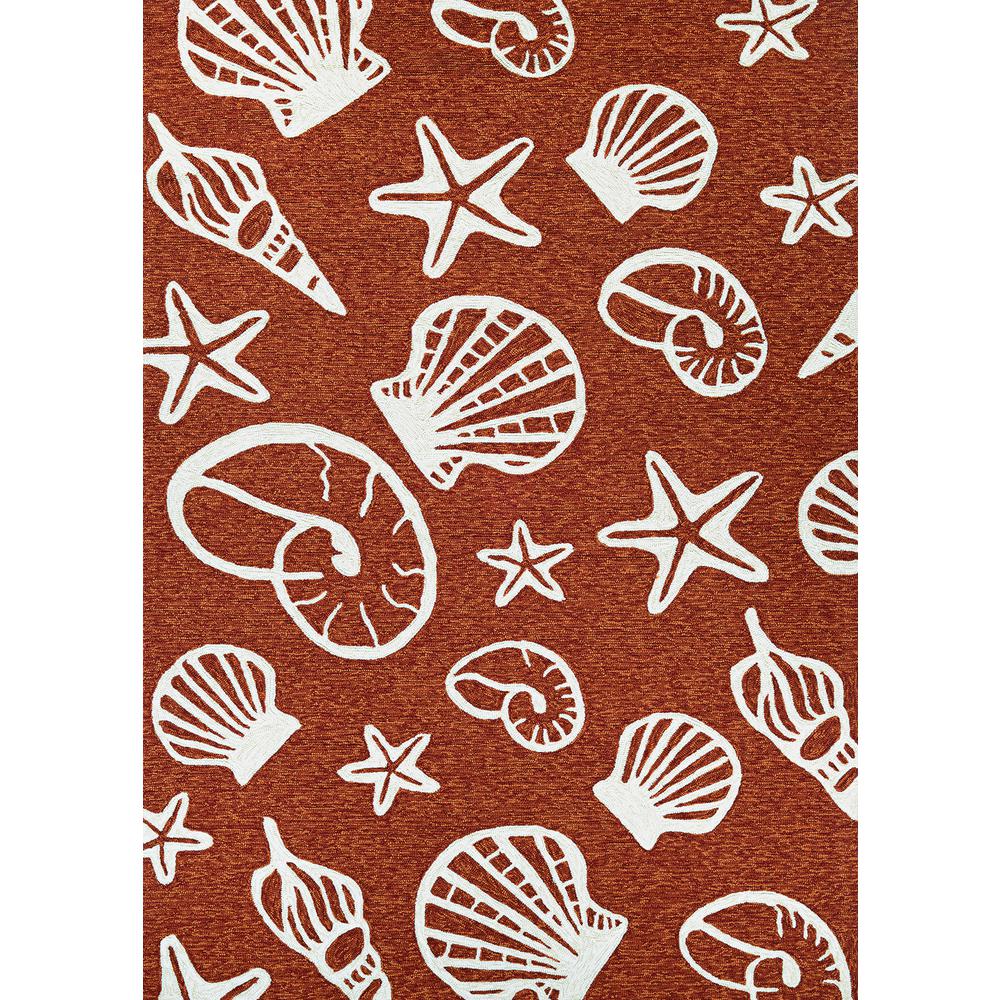 Cardita Shells Area Rug, Terra Cotta/Ivory ,Rectangle, 3'6" x 5'6". Picture 1