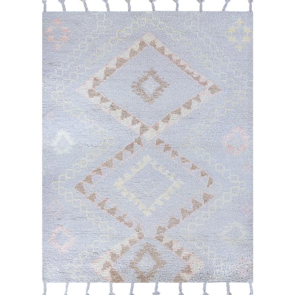 Amazon Area Rug, Morning Mist ,Rectangle, 2' X 4'. Picture 1