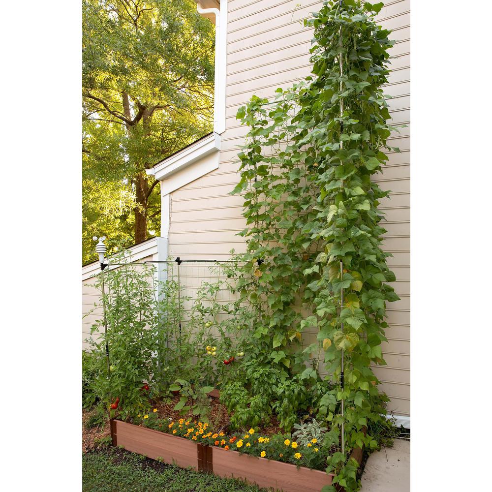 Stack & Extend Veggie Wall Trellis. Picture 5