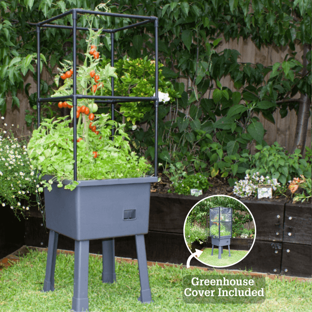 Self-Watering Elevated Planter With Trellis Frame And Greenhouse Cover. Picture 4