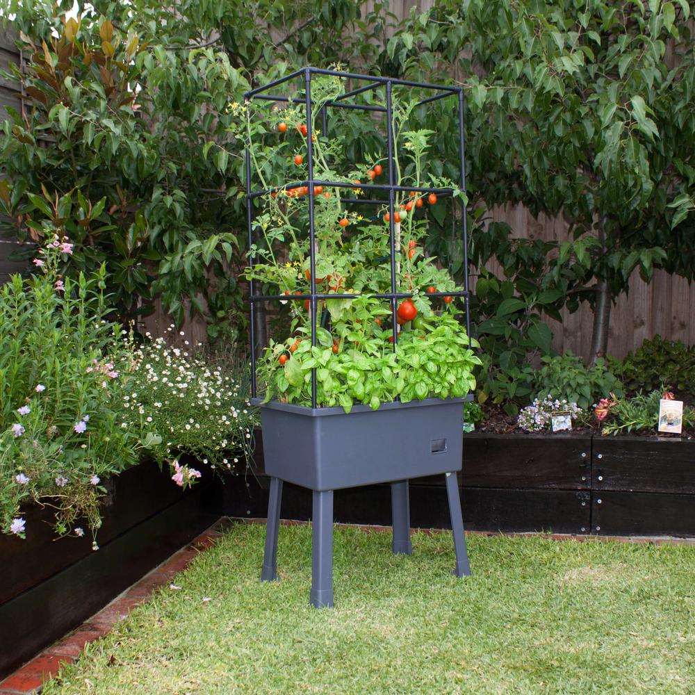 Self-Watering Elevated Planter With Trellis Frame And Greenhouse Cover. Picture 2