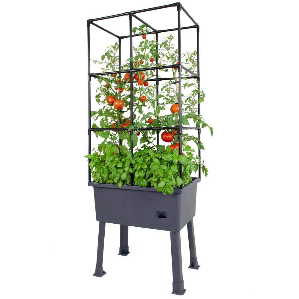 Self-Watering Elevated Planter With Trellis Frame And Greenhouse Cover. Picture 5