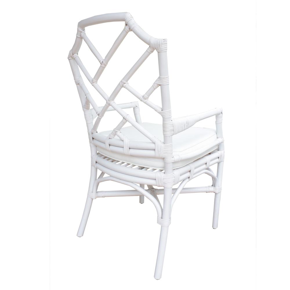 Kara Rattan Arm Chair. Picture 5