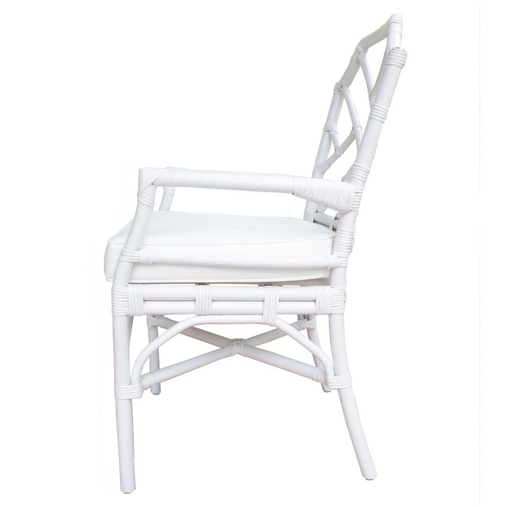Kara Rattan Arm Chair. Picture 3