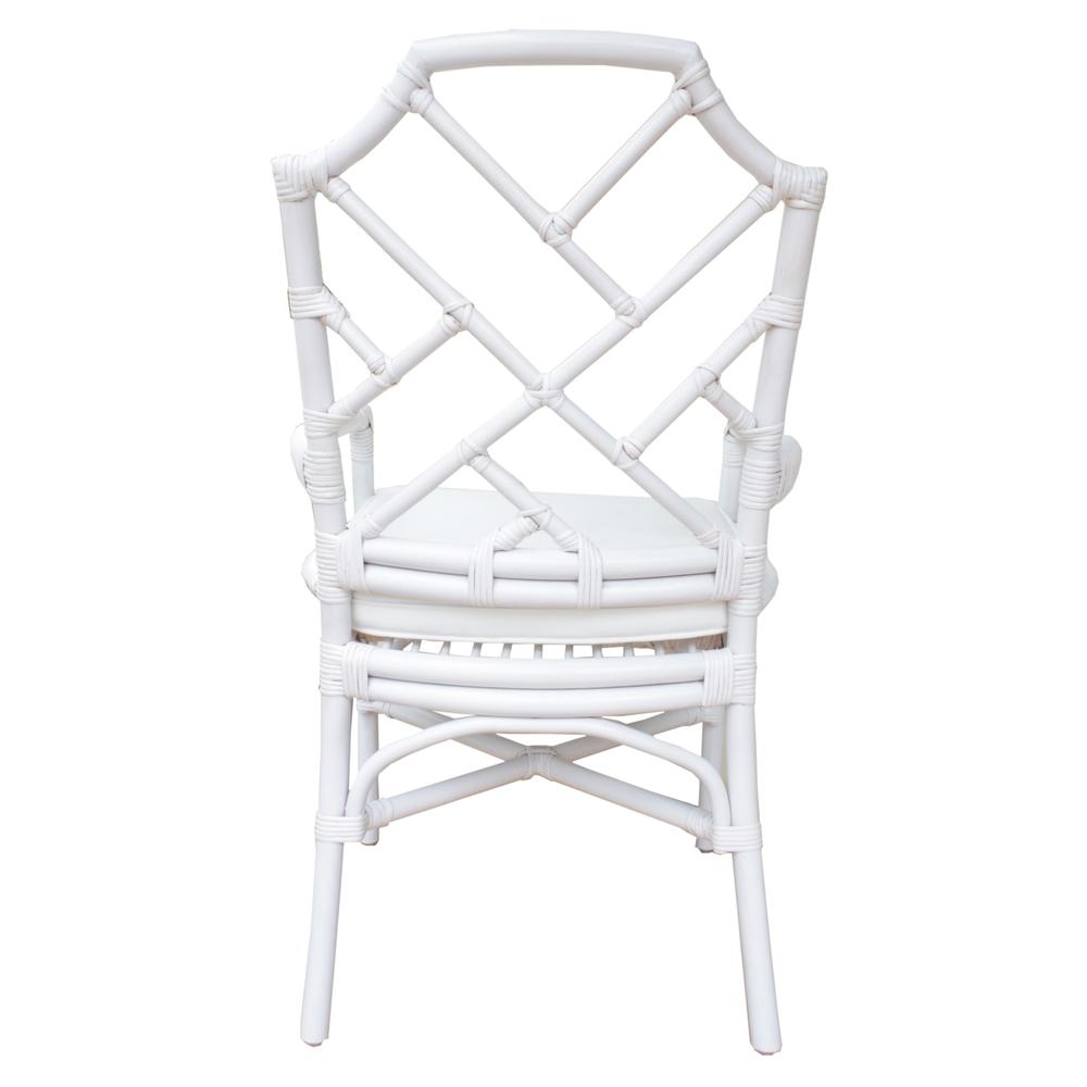 Kara Rattan Arm Chair. Picture 4